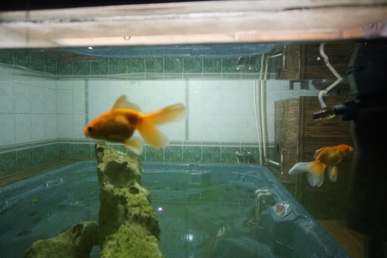 Гостевой дом Готель Сауна Водопад Хмельницкий-30